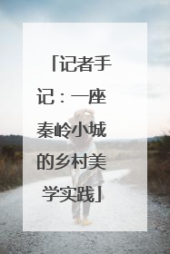 记者手记：一座秦岭小城的乡村美学实践