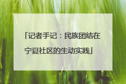 记者手记：民族团结在宁夏社区的生动实践