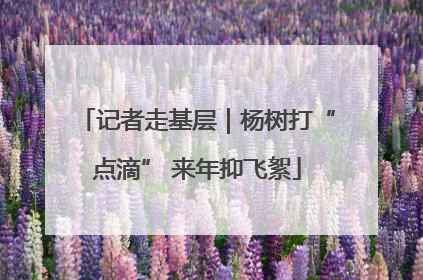 记者走基层｜杨树打“点滴” 来年抑飞絮
