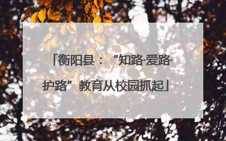 衡阳县：“知路·爱路·护路”教育从校园抓起