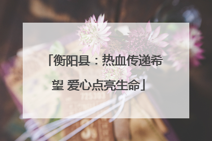 衡阳县：热血传递希望 爱心点亮生命