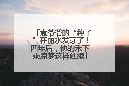袁爷爷的“种子”在丽水发芽了！四年后，他的禾下乘凉梦这样延续