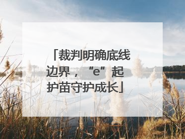 裁判明确底线边界，“e”起护苗守护成长