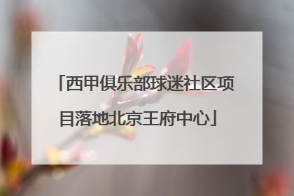 西甲俱乐部球迷社区项目落地北京王府中心