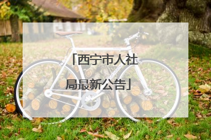 西宁市人社局最新公告