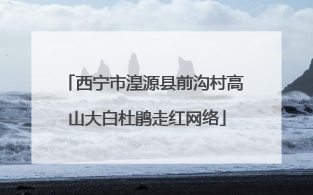 西宁市湟源县前沟村高山大白杜鹃走红网络