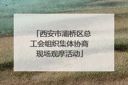 西安市灞桥区总工会组织集体协商现场观摩活动