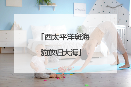 西太平洋斑海豹放归大海