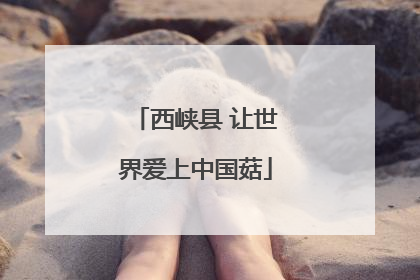 西峡县 让世界爱上中国菇