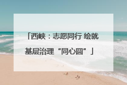 西峡：志愿同行 绘就基层治理“同心圆”