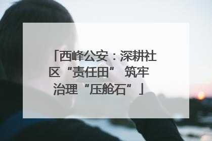 西峰公安：深耕社区“责任田” 筑牢治理“压舱石”