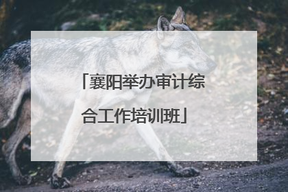 襄阳举办审计综合工作培训班