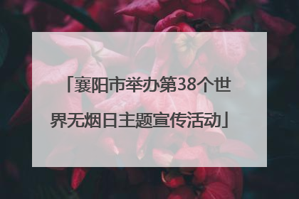 襄阳市举办第38个世界无烟日主题宣传活动
