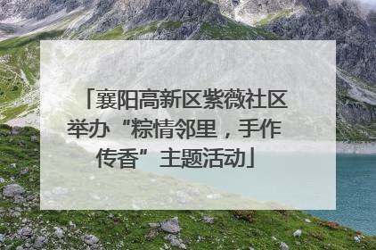 襄阳高新区紫薇社区举办“粽情邻里，手作传香”主题活动