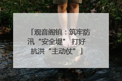 观音阁镇：筑牢防汛“安全堤” 打好抗洪“主动仗”