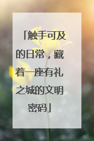 触手可及的日常，藏着一座有礼之城的文明密码