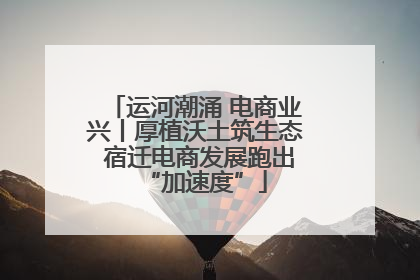 运河潮涌 电商业兴丨厚植沃土筑生态 宿迁电商发展跑出“加速度”