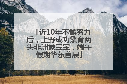 近10年不懈努力后，上野成功繁育两头非洲象宝宝，端午假期华东首展
