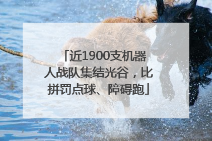近1900支机器人战队集结光谷，比拼罚点球、障碍跑
