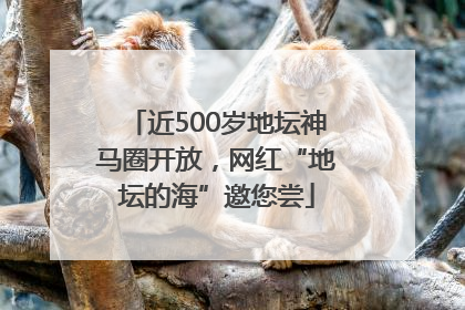 近500岁地坛神马圈开放，网红“地坛的海”邀您尝