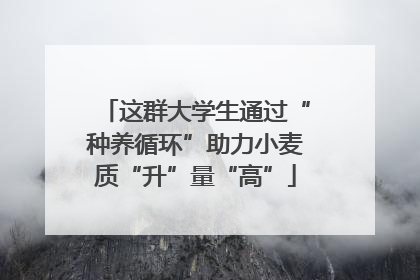 这群大学生通过“种养循环”助力小麦质“升”量“高”