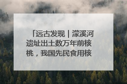 远古发现｜濛溪河遗址出土数万年前核桃，我国先民食用核桃历史大幅提前