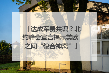 达成军费共识？北约峰会宣言揭示美欧之间“貌合神离”