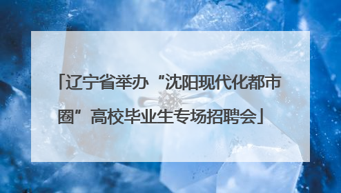 辽宁省举办“沈阳现代化都市圈”高校毕业生专场招聘会