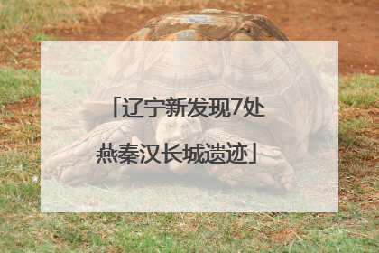 辽宁新发现7处燕秦汉长城遗迹