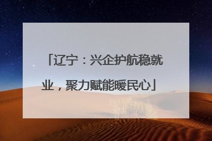 辽宁：兴企护航稳就业，聚力赋能暖民心