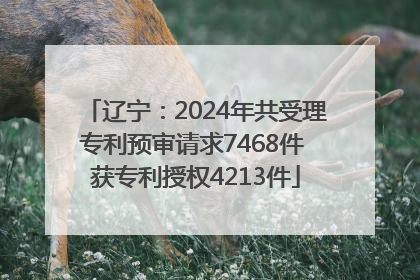 辽宁：2024年共受理专利预审请求7468件 获专利授权4213件