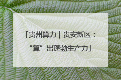 贵州算力｜贵安新区：“算”出蓬勃生产力