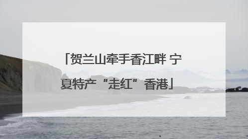 贺兰山牵手香江畔 宁夏特产“走红”香港