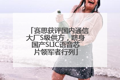 赛思获评国内通信大厂S级供方，跻身国产SLIC语音芯片领军者行列