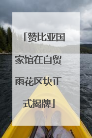 赞比亚国家馆在自贸雨花区块正式揭牌