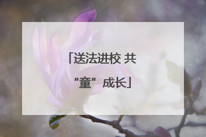 送法进校 共“童”成长