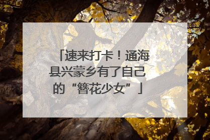 速来打卡！通海县兴蒙乡有了自己的“簪花少女”