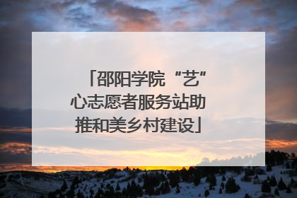 邵阳学院“艺”心志愿者服务站助推和美乡村建设
