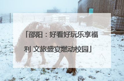 邵阳：好看好玩乐享福利 文旅盛宴燃动校园