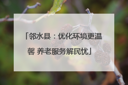 邻水县：优化环境更温馨 养老服务解民忧