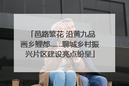 邑路繁花 沿黄九品 画乡鲤都……聊城乡村振兴片区建设亮点纷呈