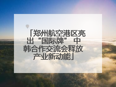 郑州航空港区亮出“国际牌” 中韩合作交流会释放产业新动能