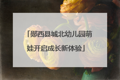 郧西县城北幼儿园萌娃开启成长新体验
