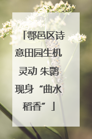 鄠邑区诗意田园生机灵动 朱鹮现身“曲水稻香”