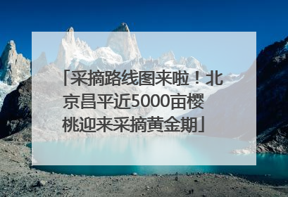 采摘路线图来啦！北京昌平近5000亩樱桃迎来采摘黄金期