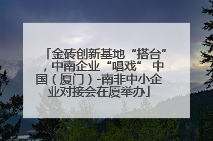 金砖创新基地“搭台”，中南企业“唱戏” 中国（厦门）-南非中小企业对接会在厦举办