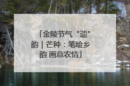 金陵节气“遗”韵｜芒种：笔绘乡韵 画意农情