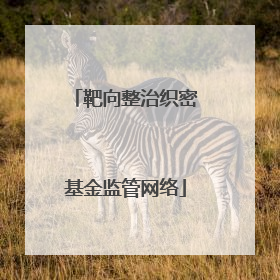 靶向整治织密基金监管网络