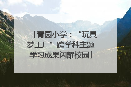 青园小学：“玩具梦工厂”跨学科主题学习成果闪耀校园
