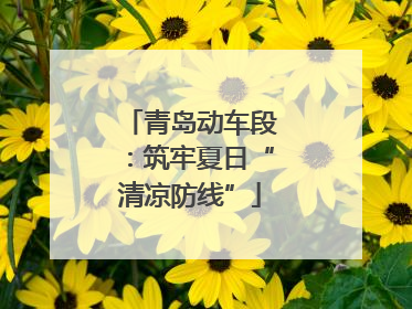 青岛动车段：筑牢夏日“清凉防线”